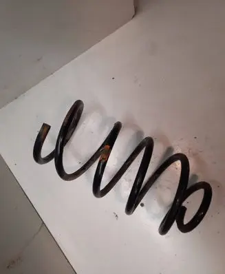 Front coil spring