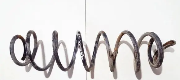 Renault Laguna II Rear coil spring