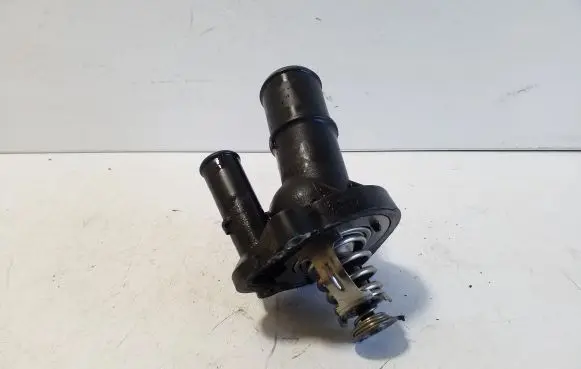 Thermostat/thermostat housing