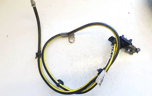Nissan Leaf I (ZE0) Other wiring loom 160720150 1390a2b