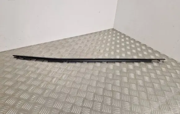 Toyota RAV 4 (XA50) Door glass trim 11110822