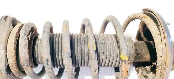 Hyundai Tiburon Rear coil spring