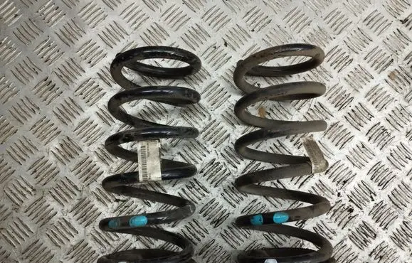 Opel Antara Rear coil spring 95096692
