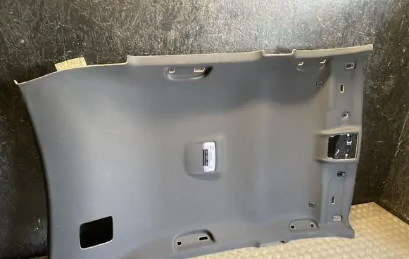 BMW X2 F39 Headlining 807346012