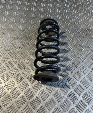 Rear coil spring