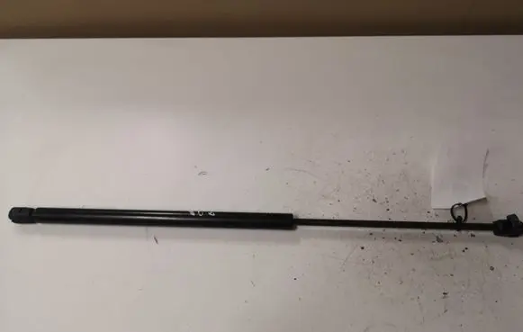 Tailgate/trunk strut/damper