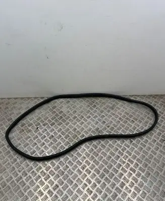 Rear door rubber seal (on body)