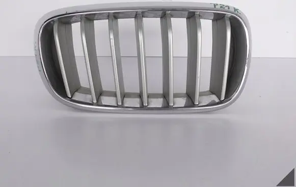 BMW X5 F15 Front bumper upper radiator grill 7309775