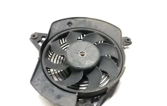 Hyundai H-1, Starex, Satellite Electric radiator cooling fan 977304A065