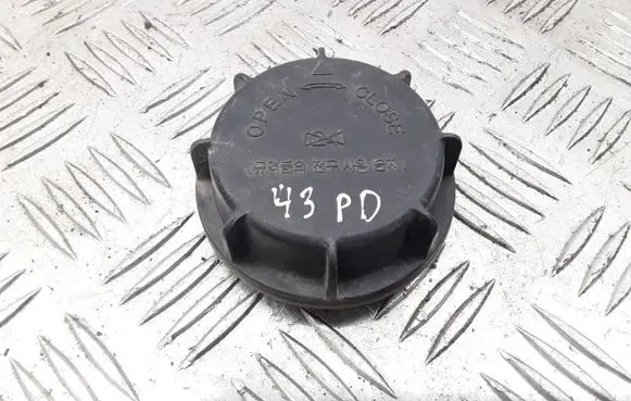 Hyundai Sonata Headlight/headlamp dust cover