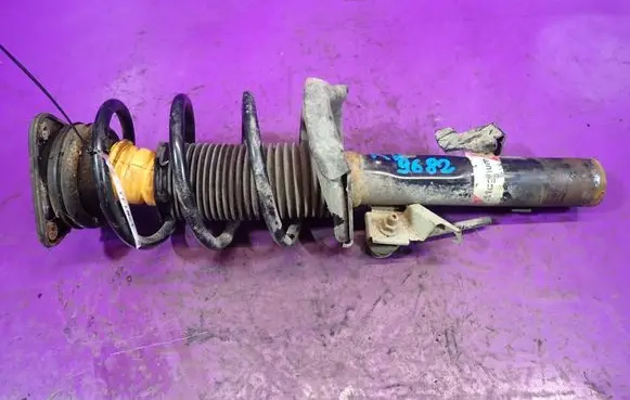 Ford Focus C-MAX Front shock absorber with coil spring AGG124MT