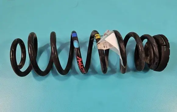 Rear coil spring