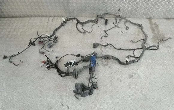 Ford F150 Other wiring loom 