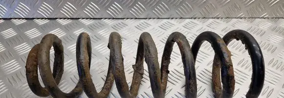 Peugeot 406 Rear coil spring