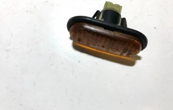 Front fender indicator light