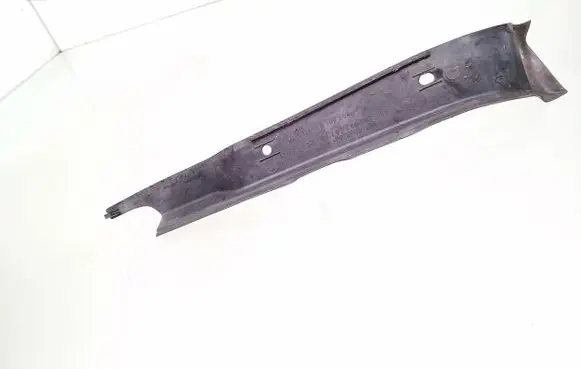 Rear/tail light trim molding
