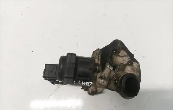 EGR valve