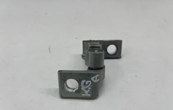 Skoda Octavia Mk4 Rear door lower hinge 8X0831403F