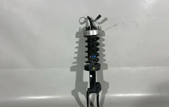Porsche Cayenne (92A) Front shock absorber with coil spring 7P5413032AB