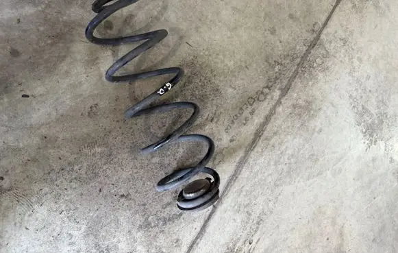 Rear coil spring