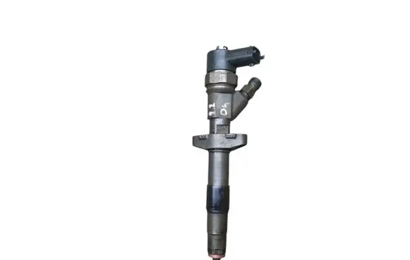 Renault Espace - Grand espace IV Fuel injector 8200084534 0445110084