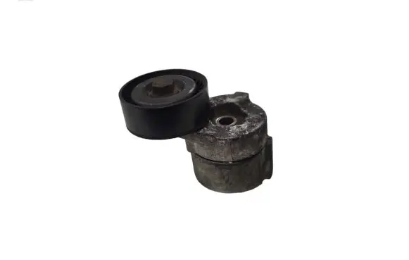 Opel Signum Generator/alternator belt tensioner 
