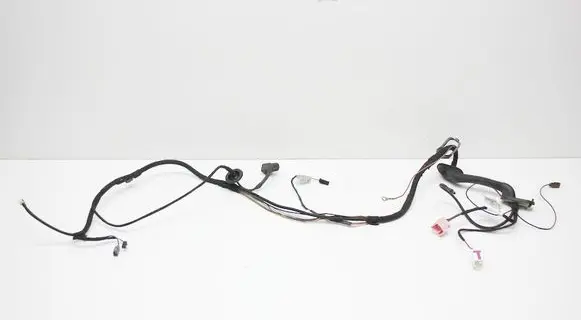Porsche Cayenne (92A) Tailgate/trunk wiring harness 7P5971145L