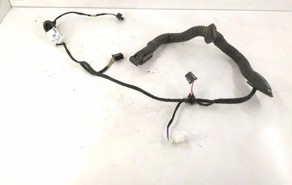 Front door wiring loom