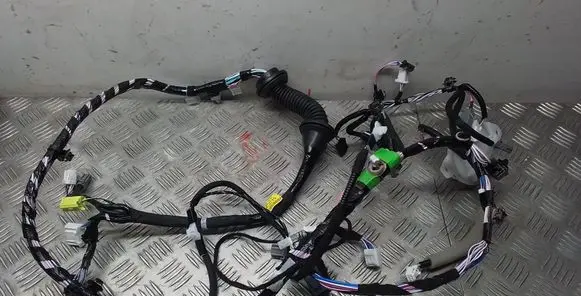 Front door wiring loom
