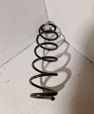 Rear coil spring