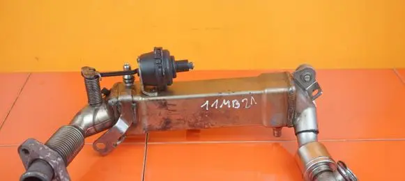 Opel Insignia A EGR valve cooler 7796519 M57D30
