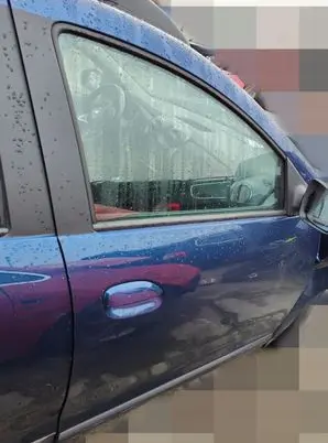 Dacia Logan II Rear door
