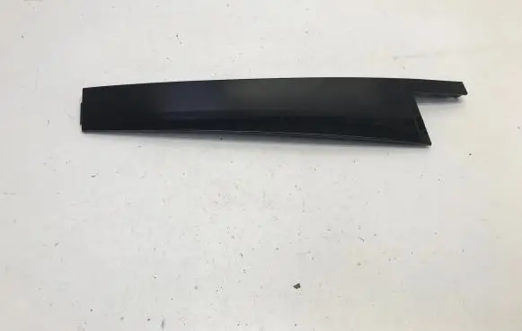 Skoda Enyaq iV Rear door trim (molding) 5LA839901