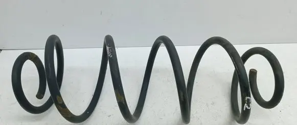 Rear coil spring
