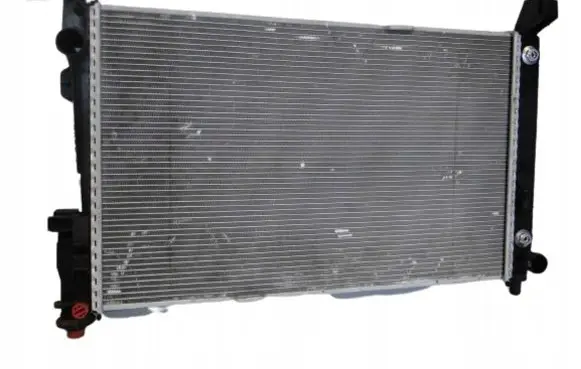 Mercedes-Benz B W245 Coolant radiator A1695002103