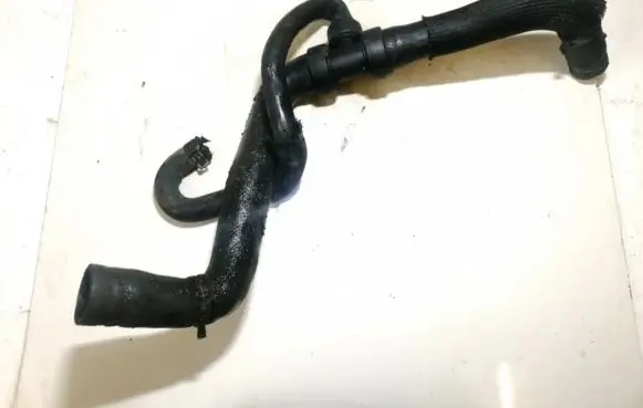 Renault Laguna II Engine coolant pipe/hose 20598