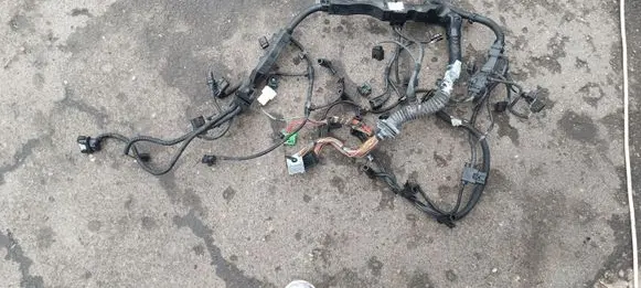 BMW 3 E90 E91 Other wiring loom 756070107B