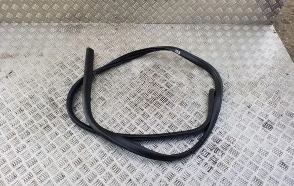Opel Zafira C Front door rubber seal