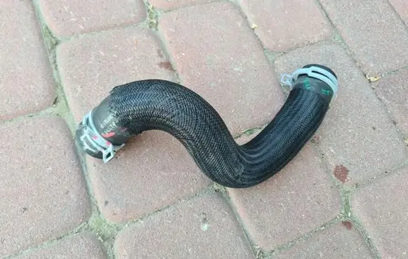 Renault Captur II Engine coolant pipe/hose 215030232R