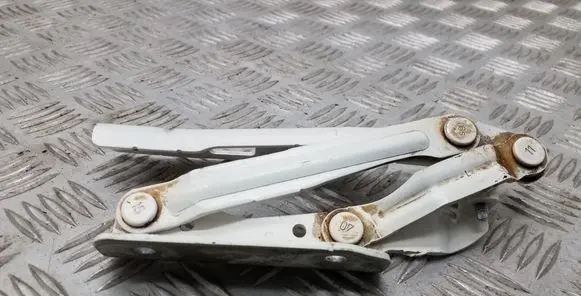 Volkswagen Eos Engine bonnet/hood hinges 1Q0823301C