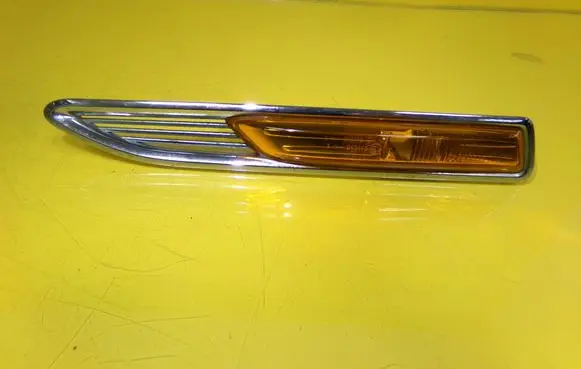 Front fender indicator light