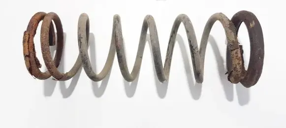 Ford Focus Rear coil spring