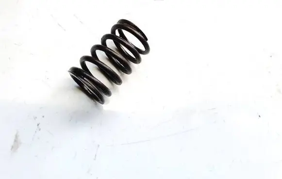 Volkswagen PASSAT B6 Valve spring 