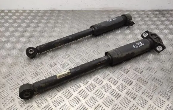 Opel Astra J Rear shock absorber/damper 13279264