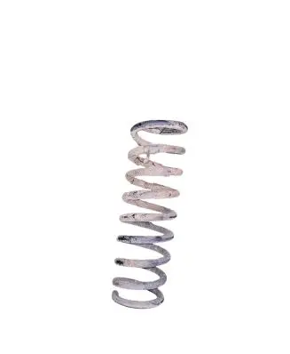 KIA Ceed Rear coil spring
