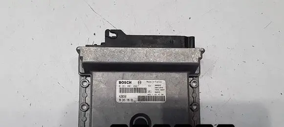 Peugeot 406 Engine control unit/module 262