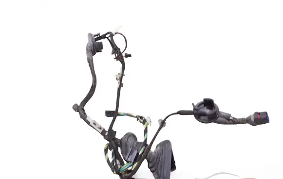 Rear door wiring loom