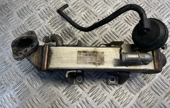 Renault Scenic III - Grand scenic III EGR valve cooler 8200719993 L0281006 H8200620695