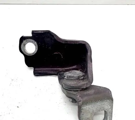 Ford Fusion II Rear door lower hinge 