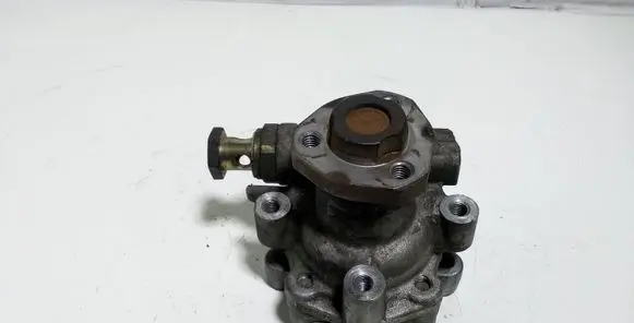 Ford Galaxy Power steering pump